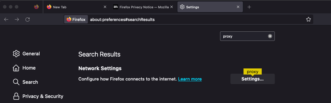 Firefox proxy search
